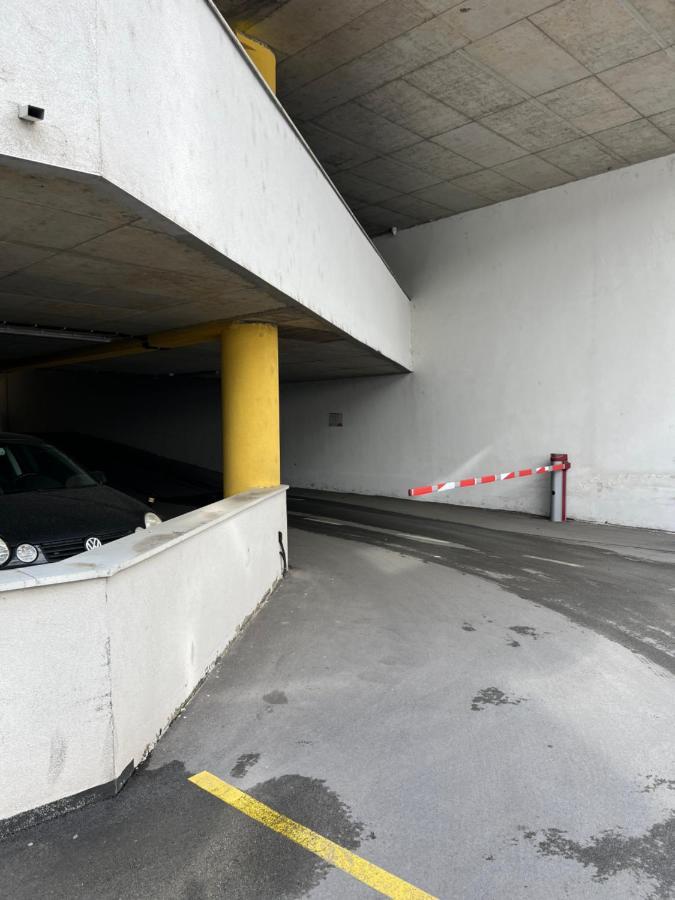 Apartman Didi2- Free Private Parking-Garage Novi Sad Eksteriør billede