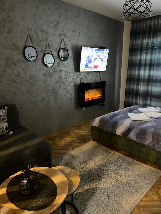 Apartman Didi2- Free Private Parking-Garage Novi Sad Eksteriør billede