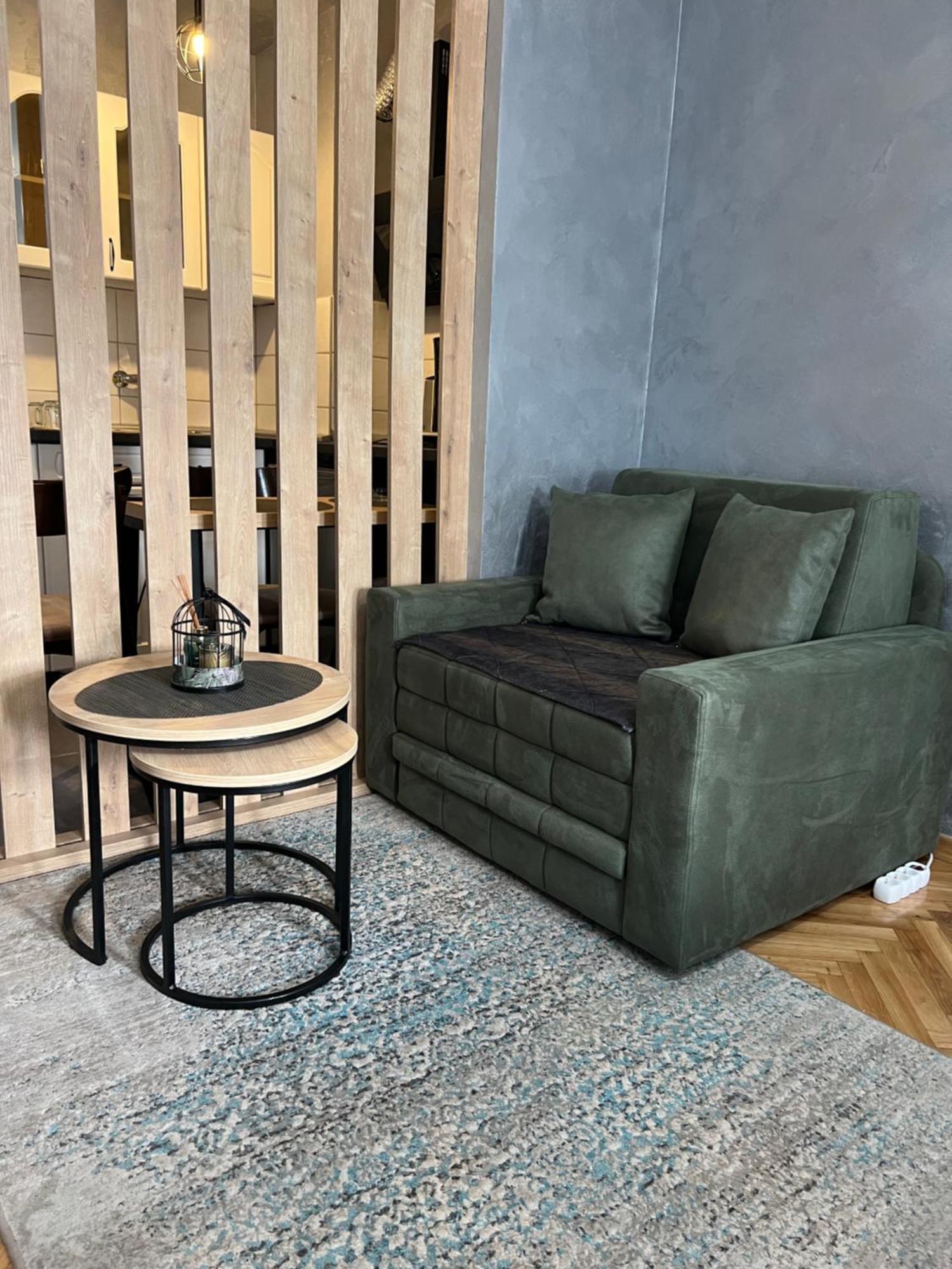Apartman Didi2- Free Private Parking-Garage Novi Sad Eksteriør billede